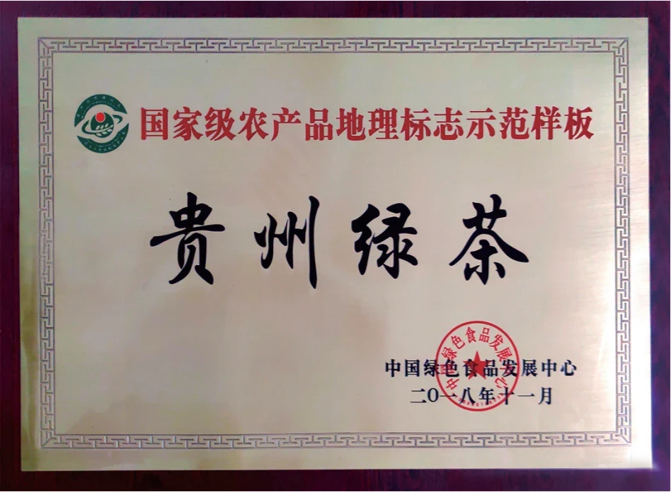1-22041Z94S1914.png