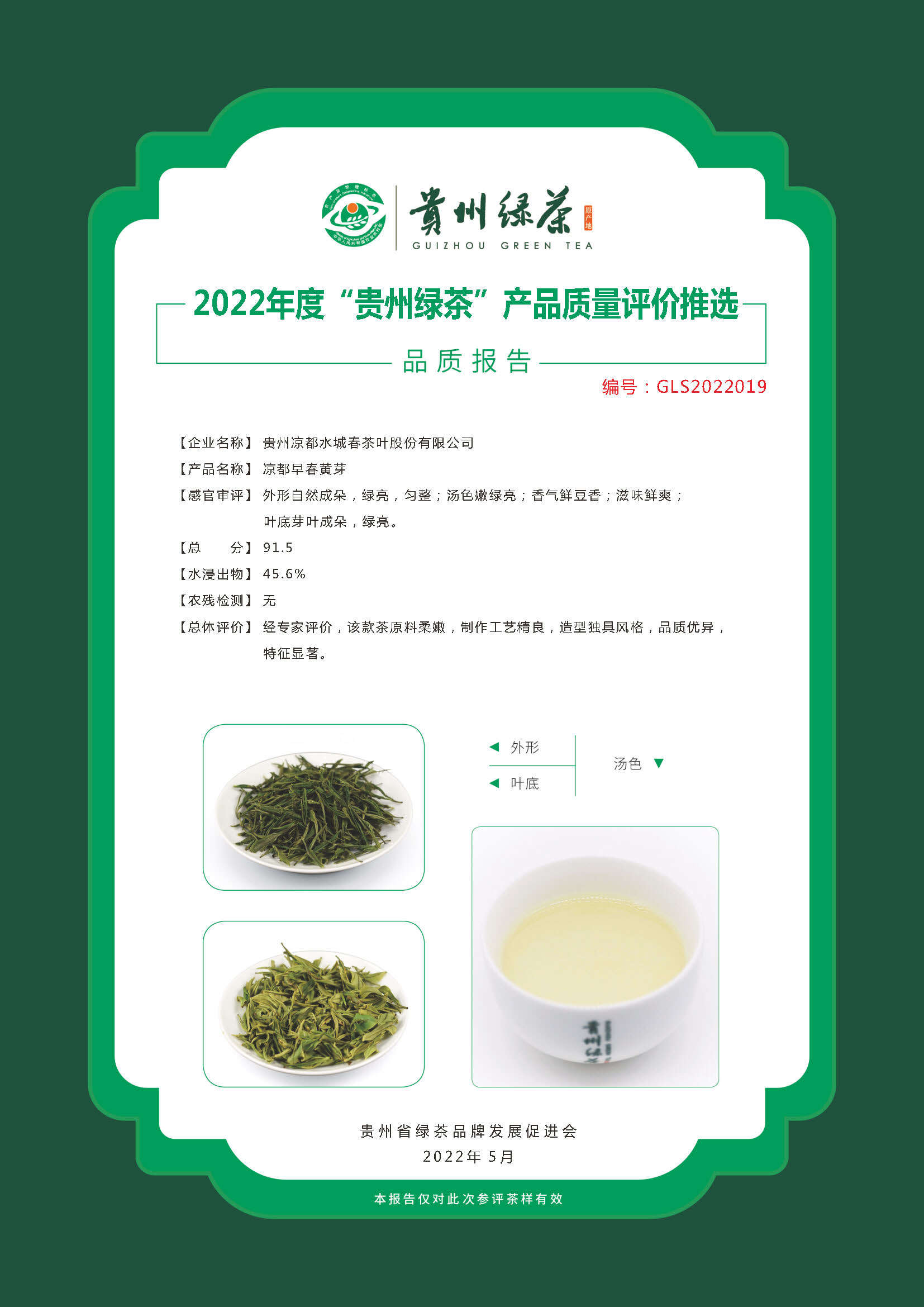 凉都早春黄芽.jpg