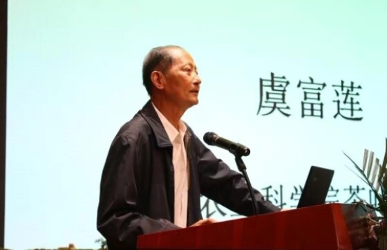 《贵州新茶饮原料茶 精制绿茶》团体标准通过专家审查