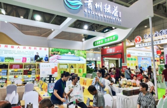 贵州绿茶，香动济南国际茶博会