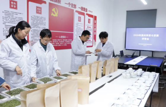 金奖茶揭晓！2026年贵州早春茶斗茶赛审评活动在贵阳举行