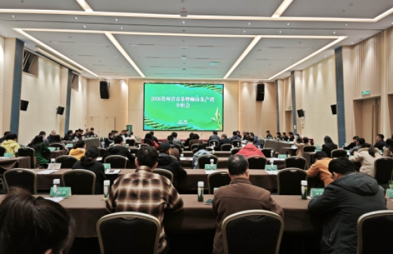 把脉春茶形势，开拓抹茶赛道——2026贵州省春茶暨碾抹茶产销分析会在晴隆县召开