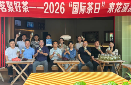 2026“国际茶日”来花溪品一杯冷泡黄茶的浪漫